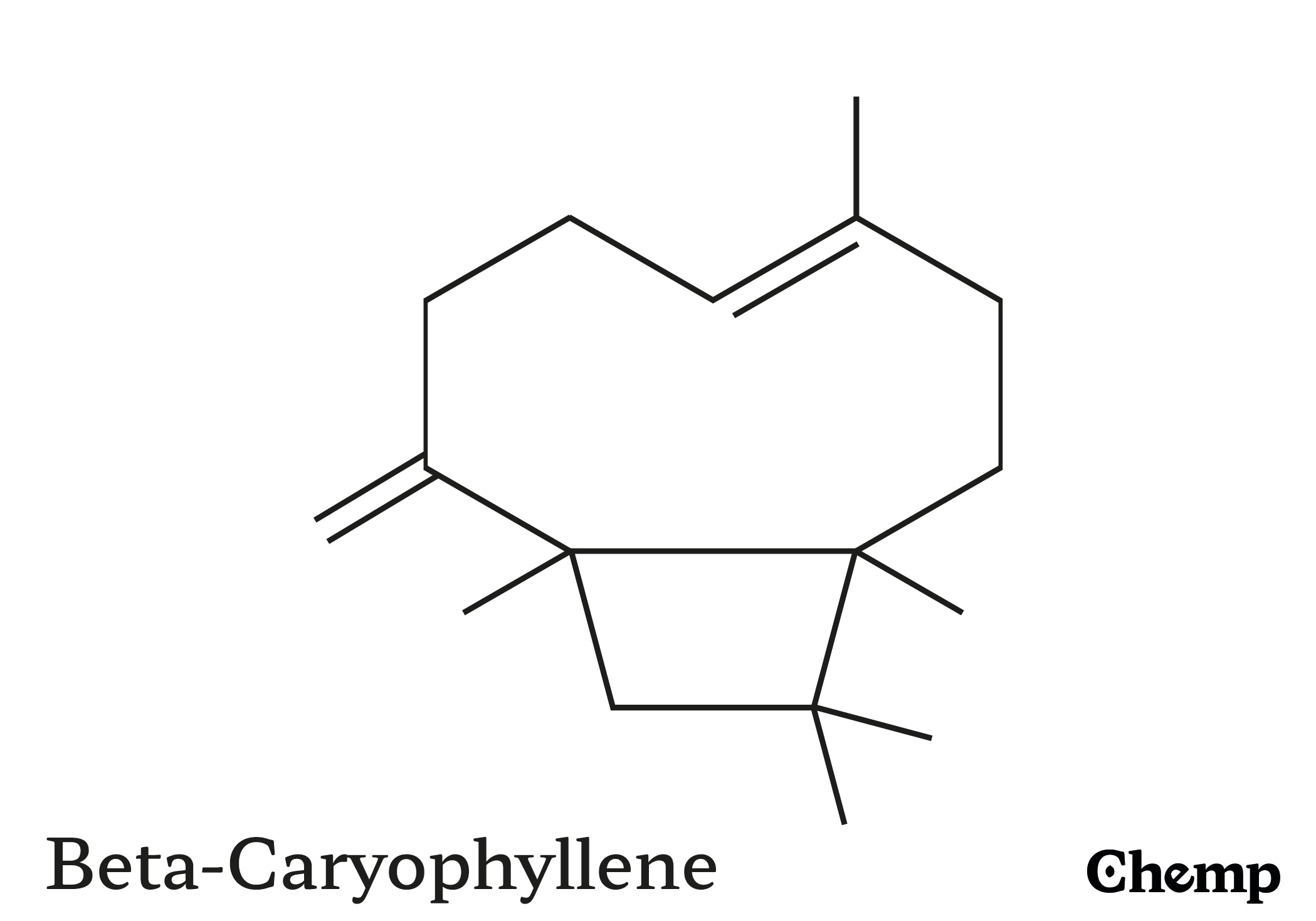 Beta-Caryophyllene Struktur