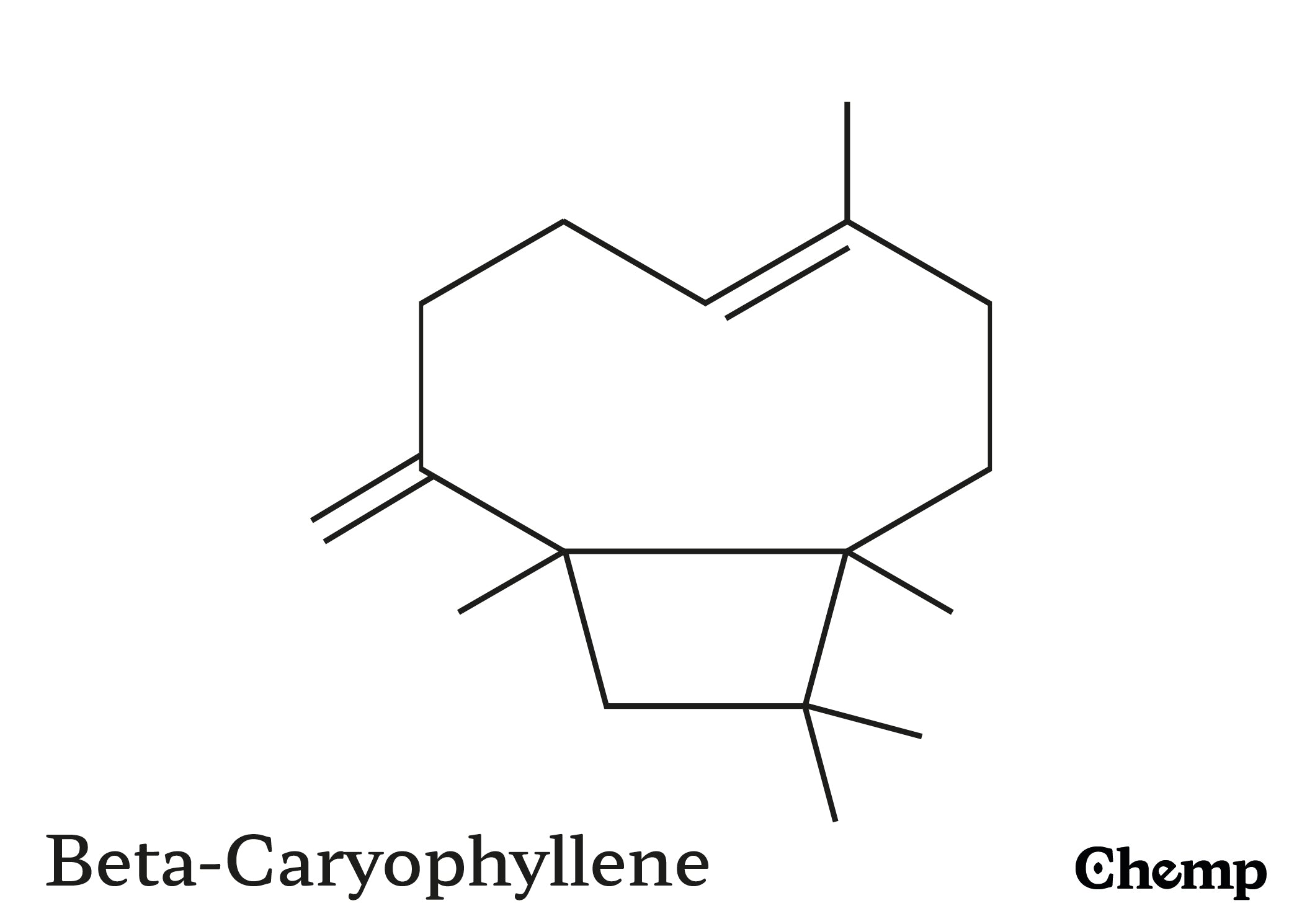 Beta-Caryophyllene Struktur