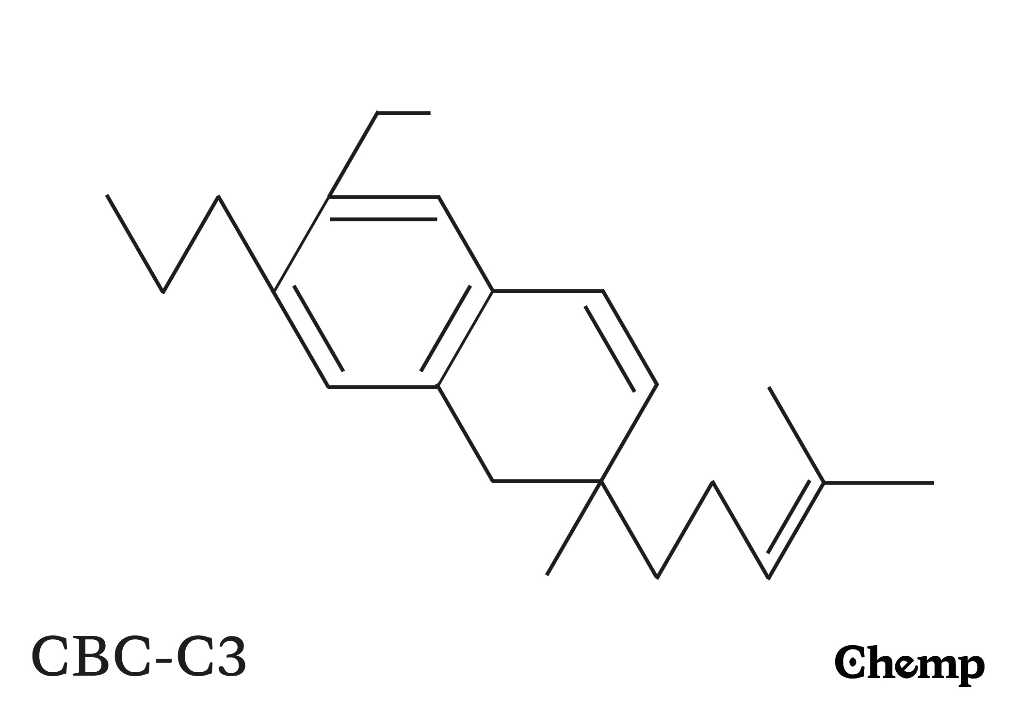 CBC-C3 Struktur