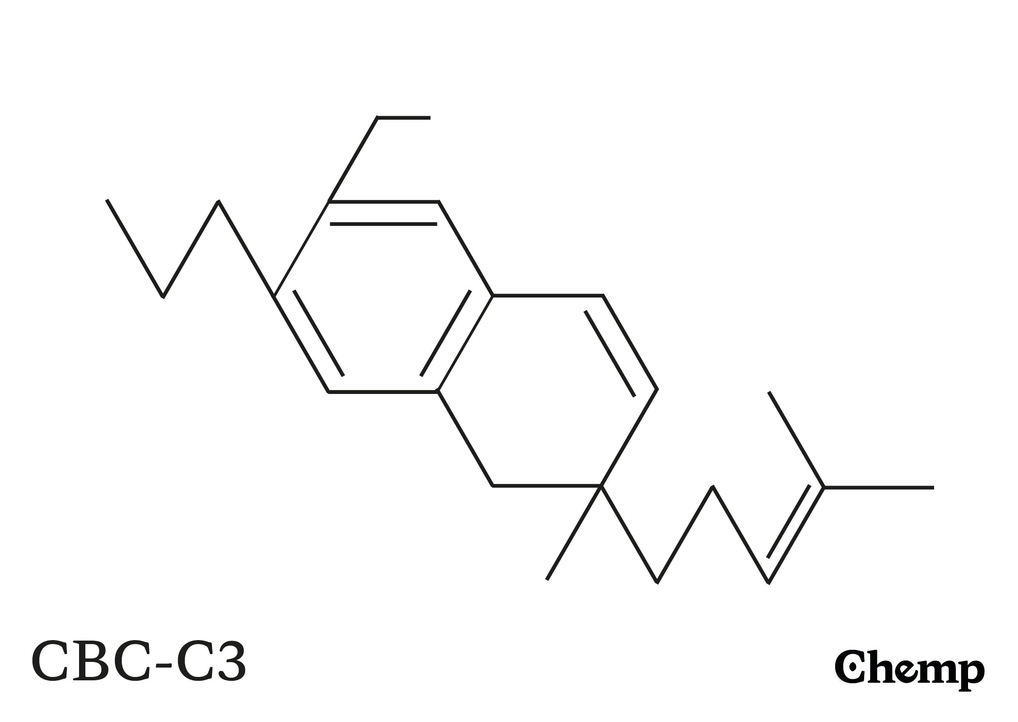 CBC-C3 Struktur