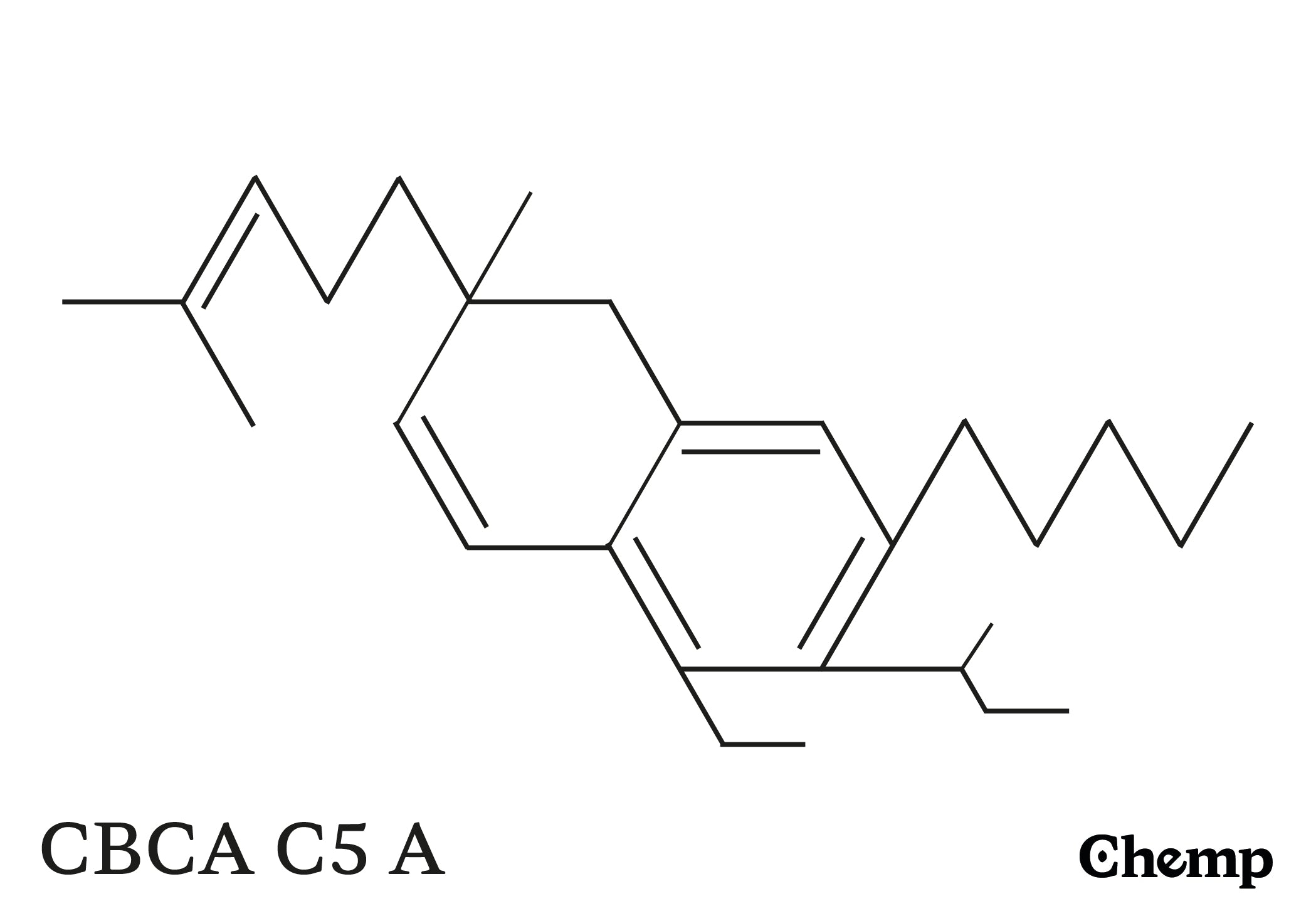 CBCA C5 A Struktur