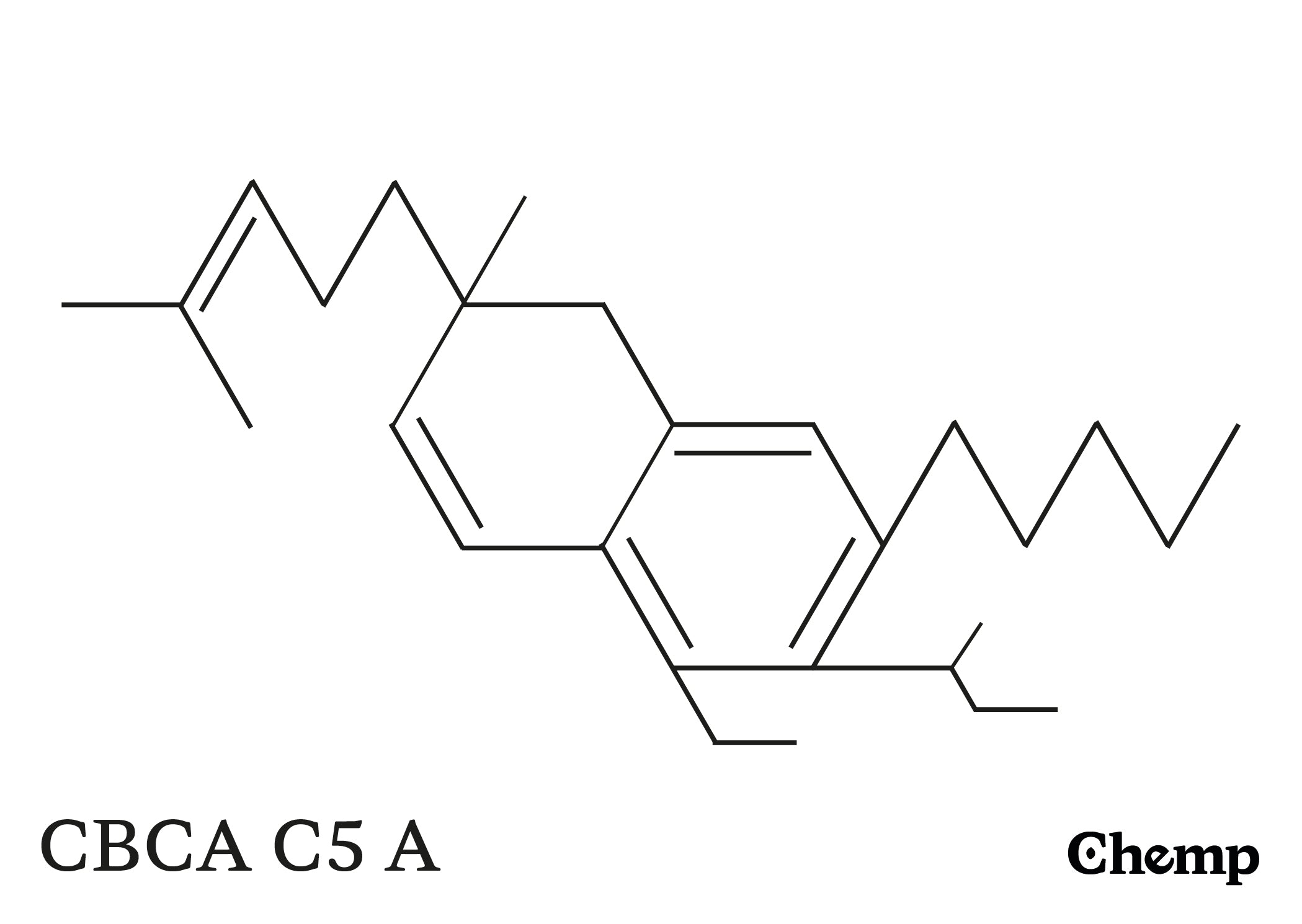 CBCA C5 A Struktur