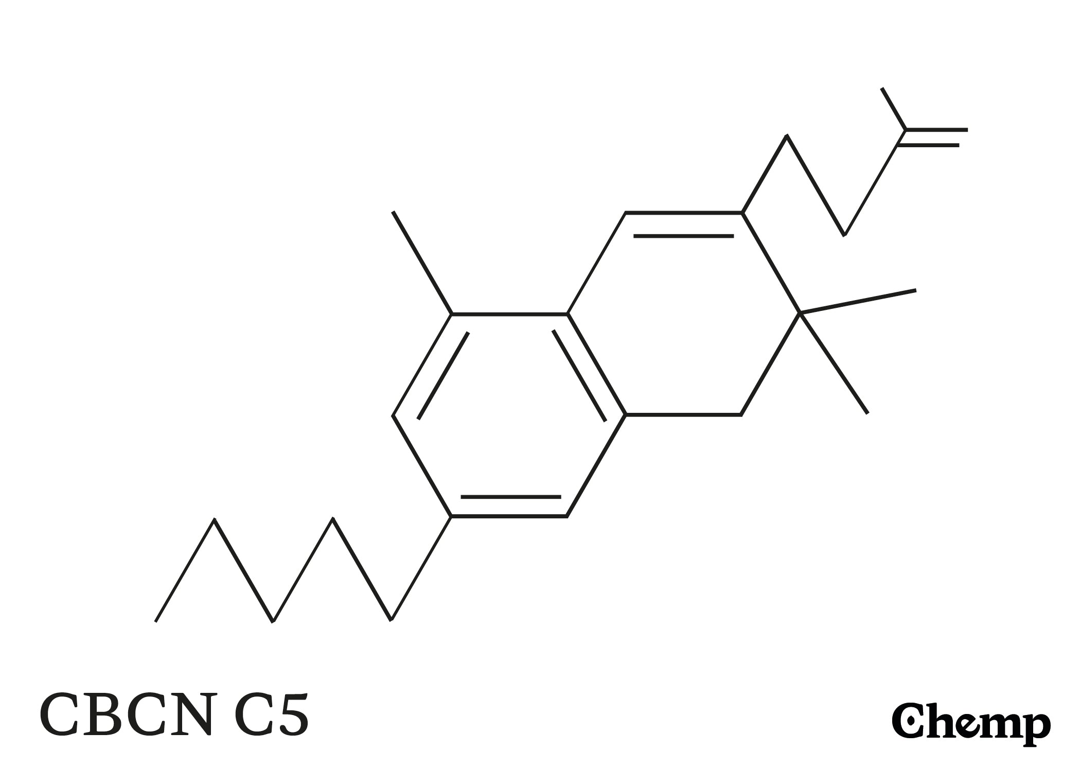 CBCN C5 Struktur