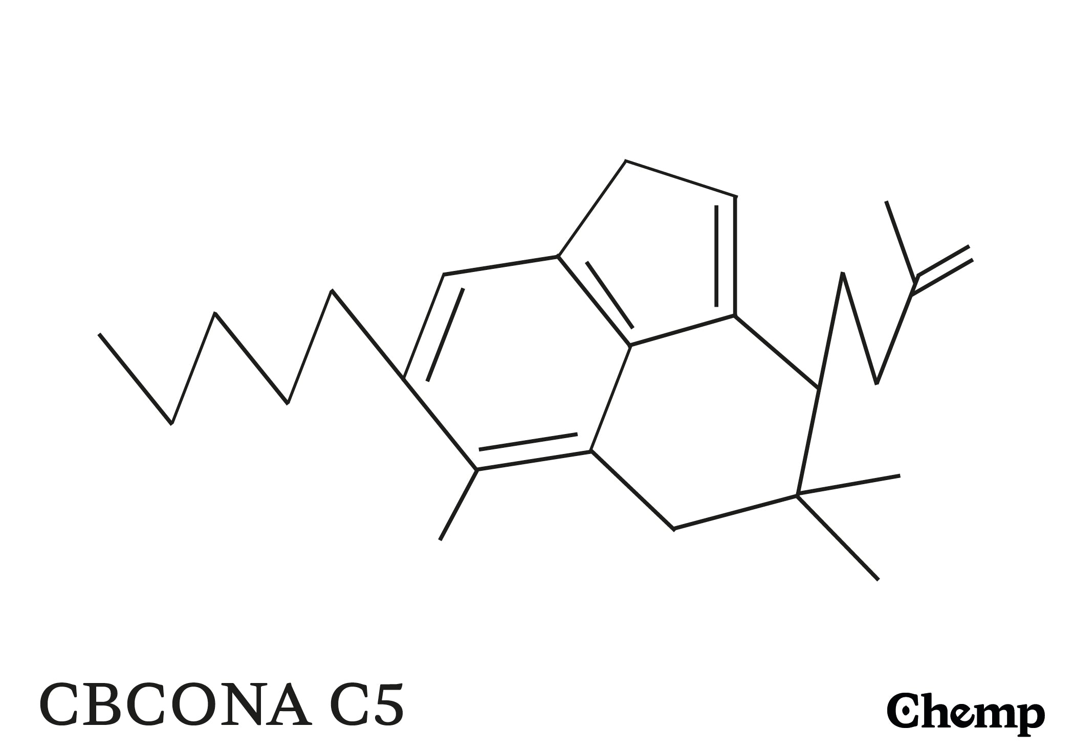 CBCONA C5 Struktur