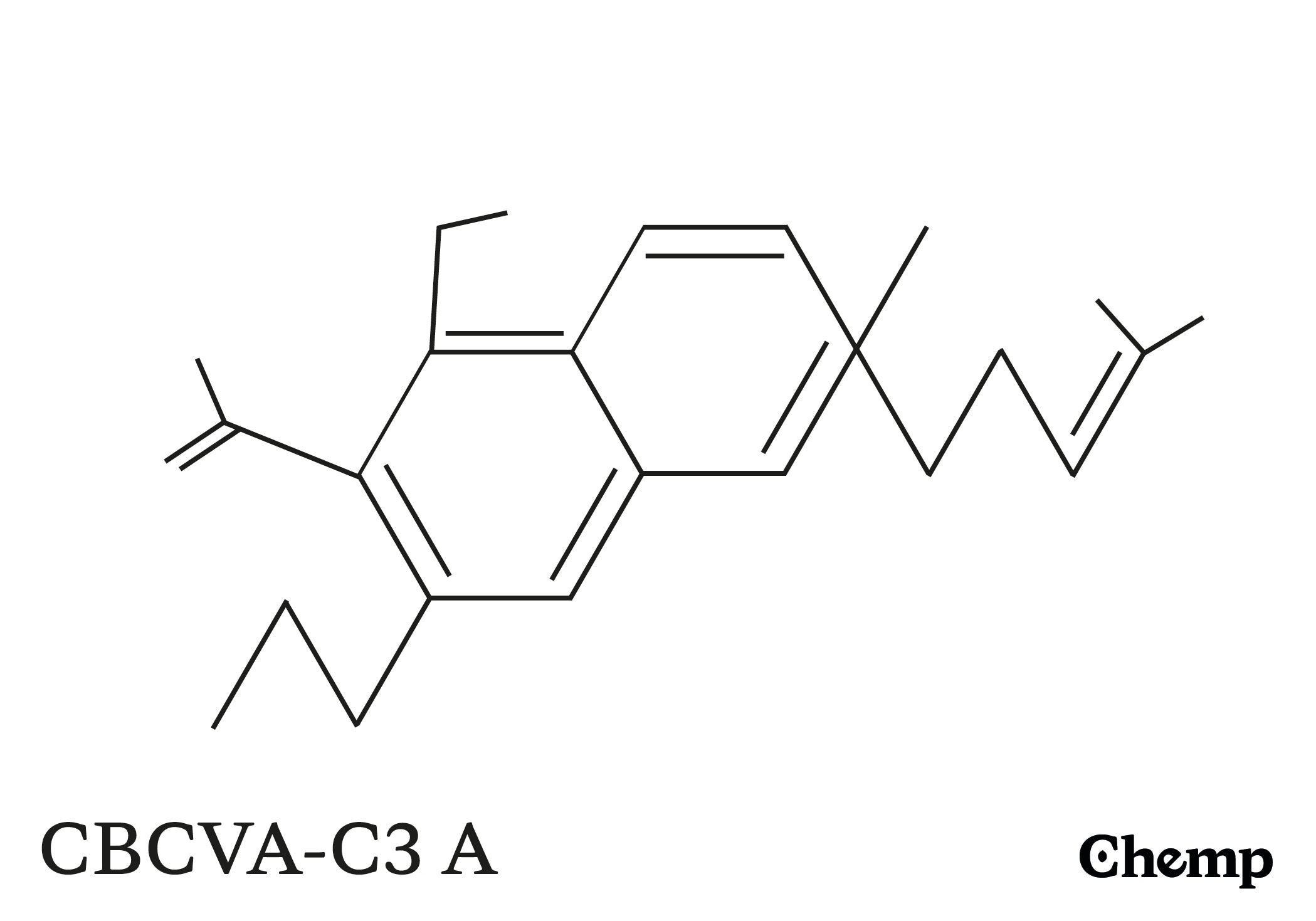 CBCVA-C3 A Struktur