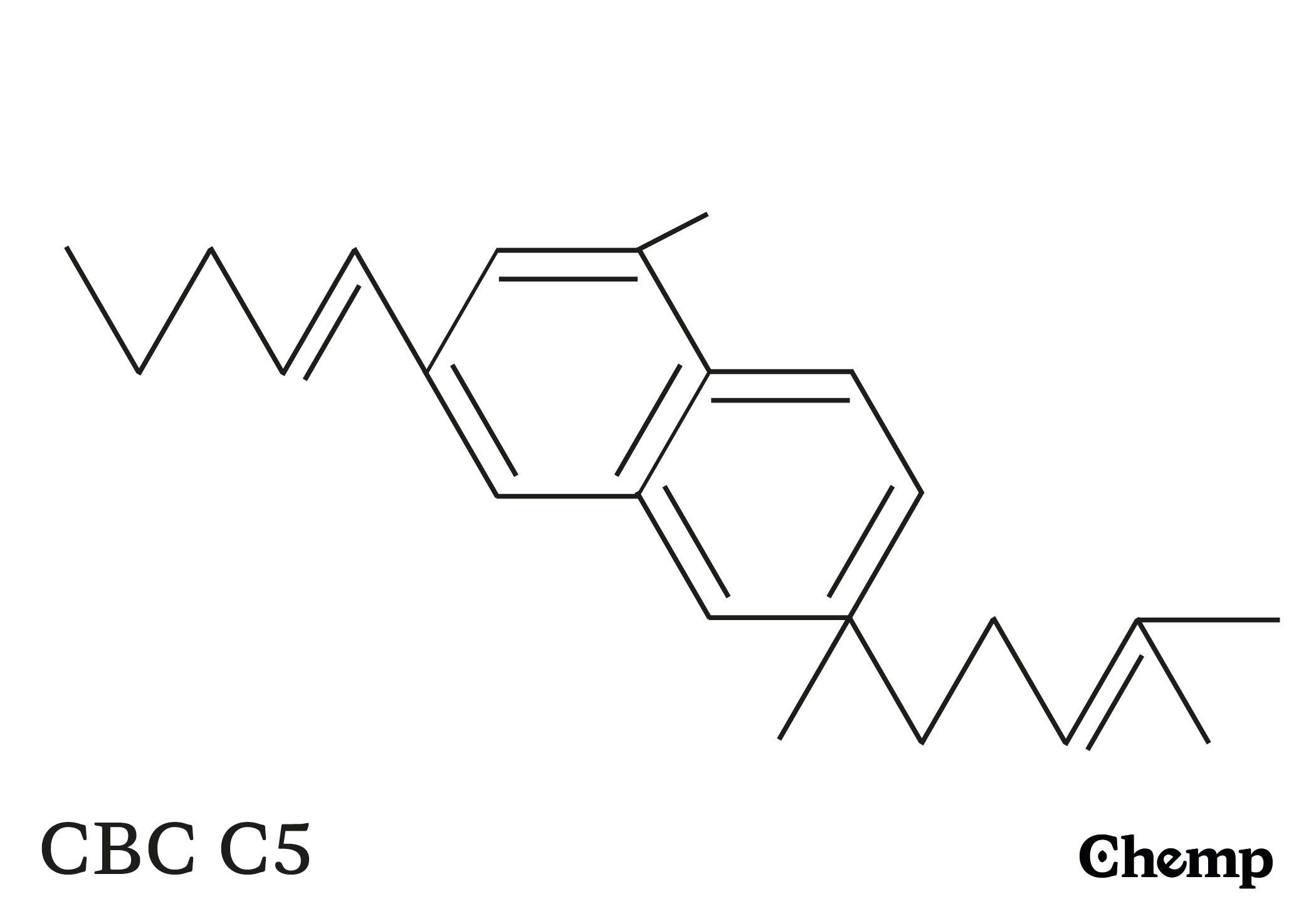 CBC C5 Struktur