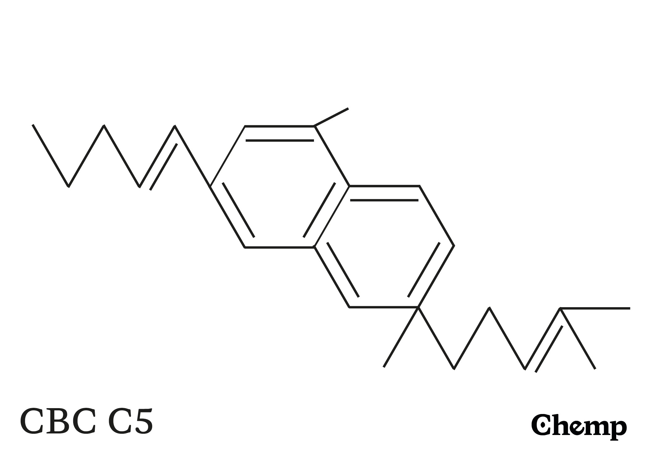 CBC C5 Struktur