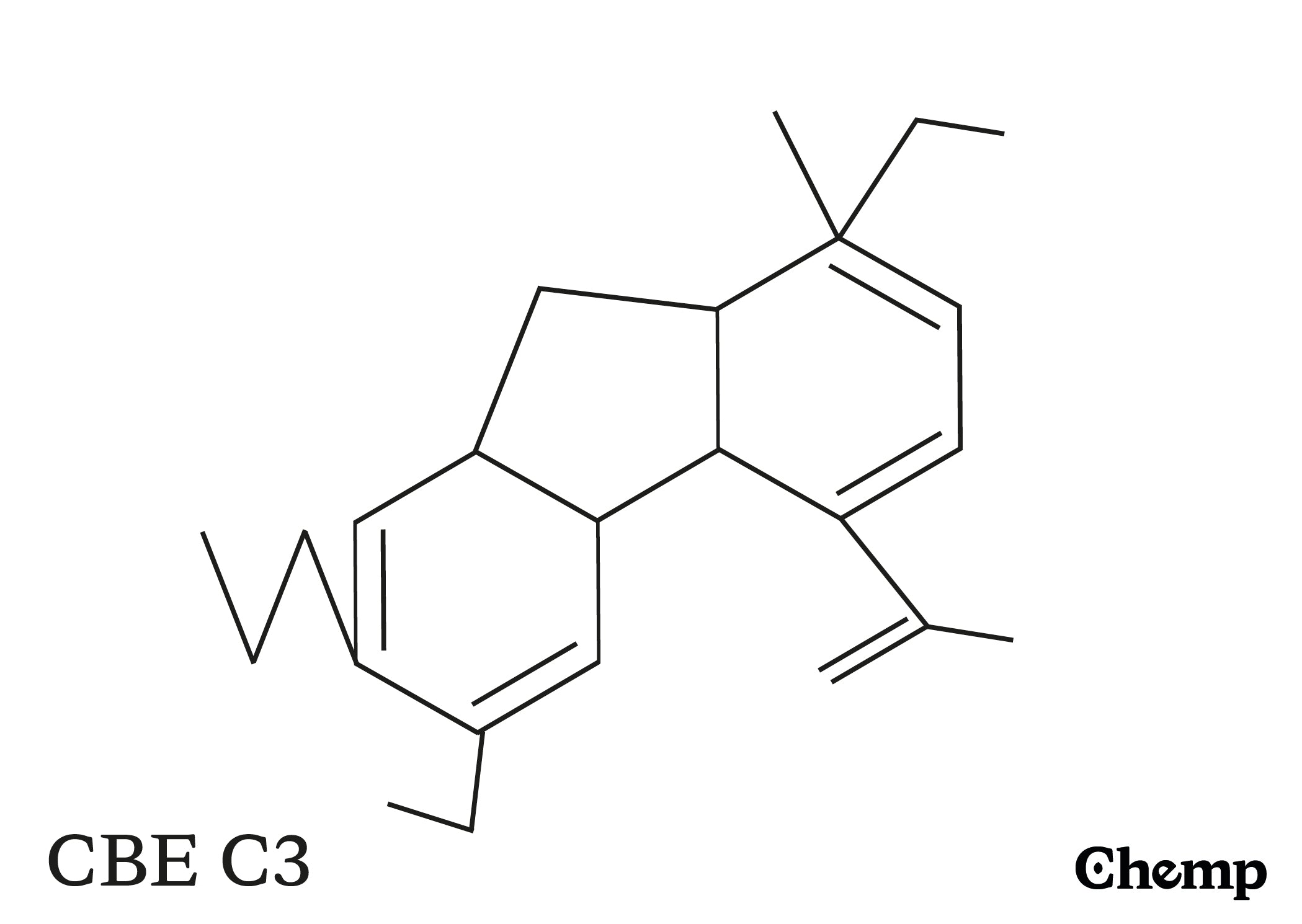 CBE C3 Struktur