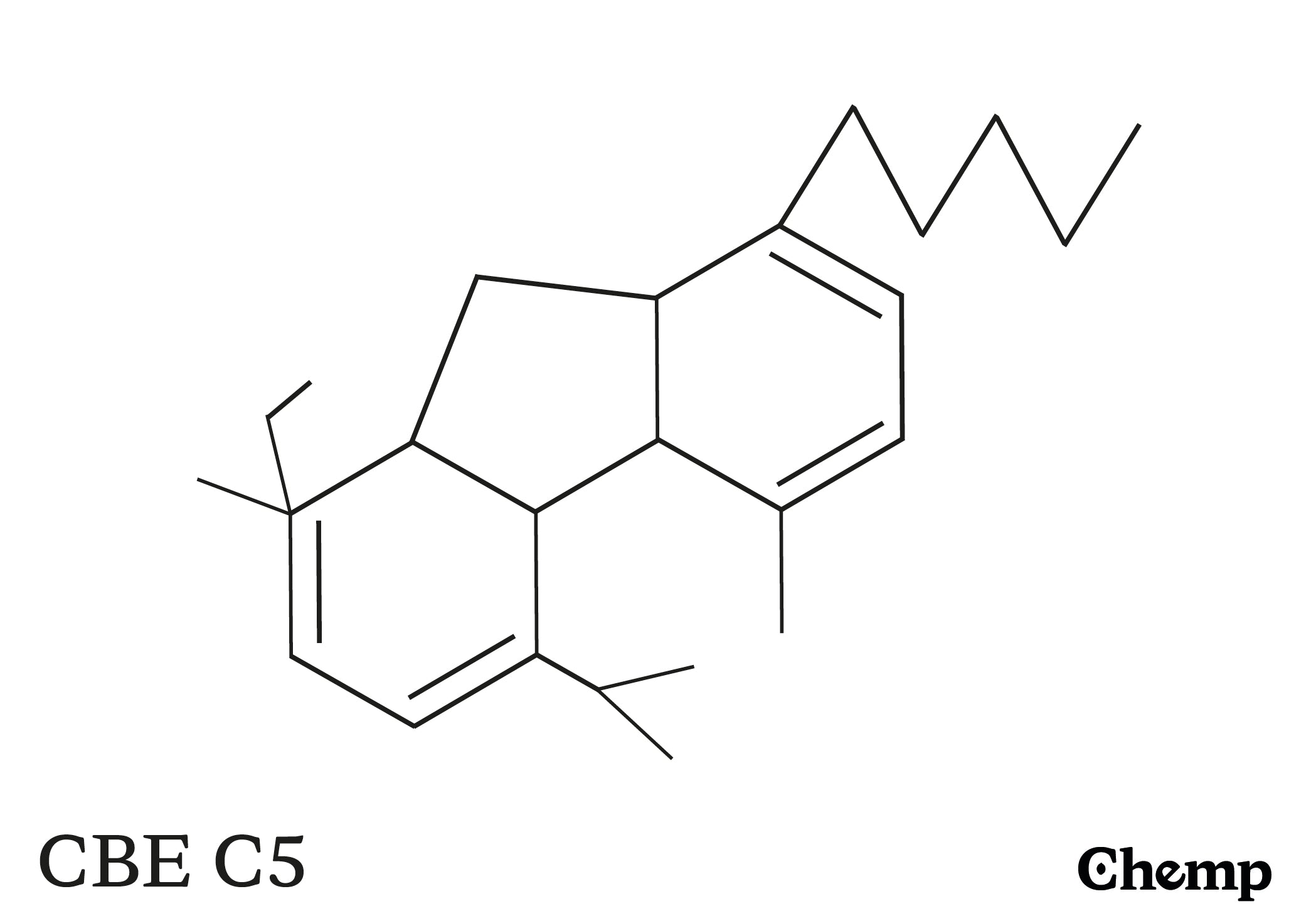 CBE C5 Struktur