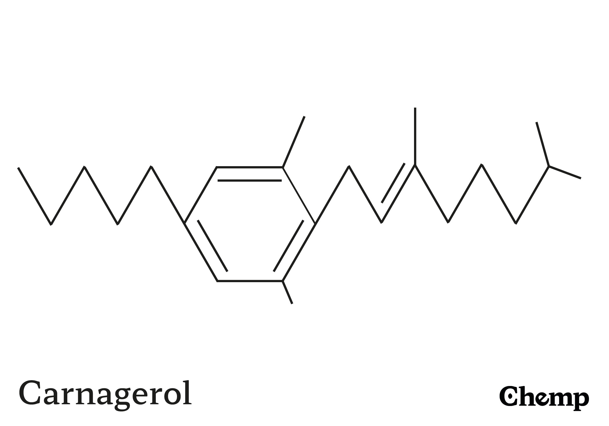 CBGM-C5 Struktur