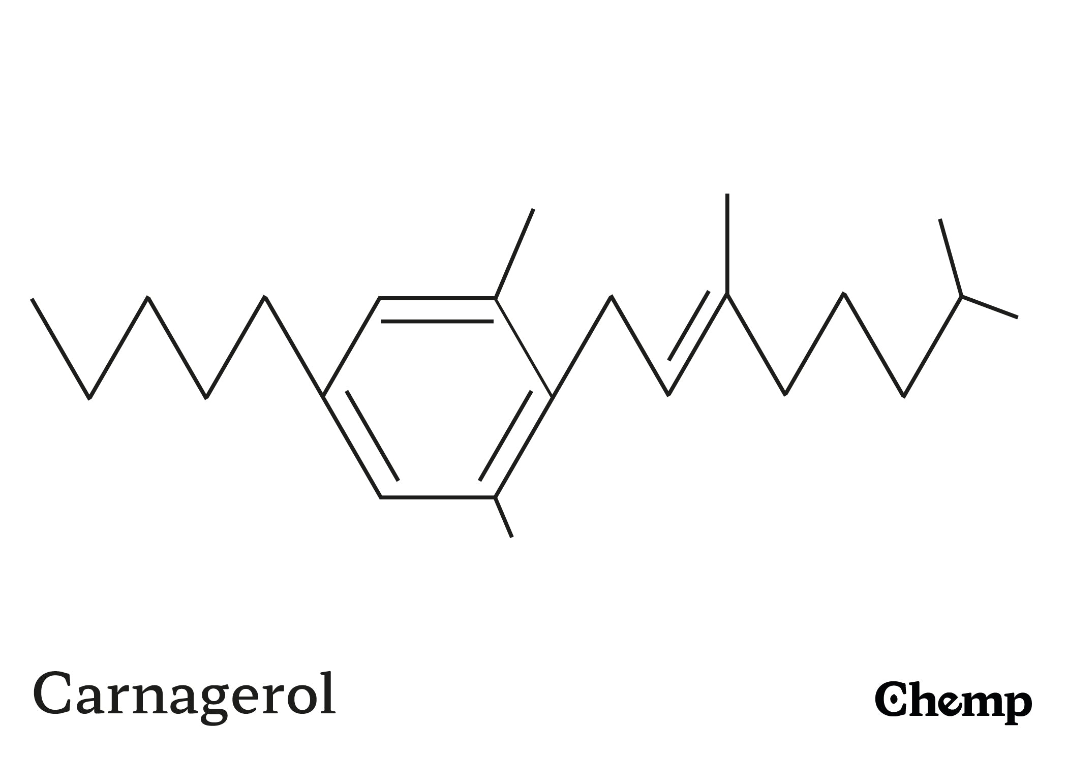 CBGM-C5 Struktur