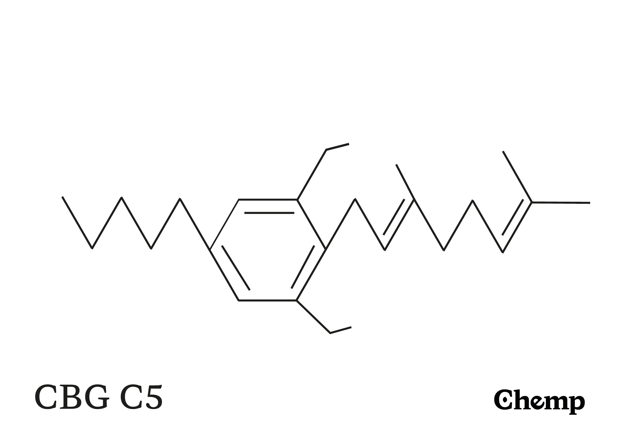 CBG C5 Struktur