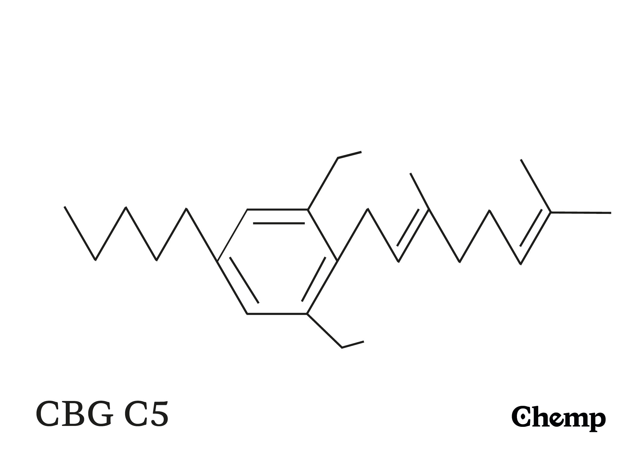 CBG C5 Struktur