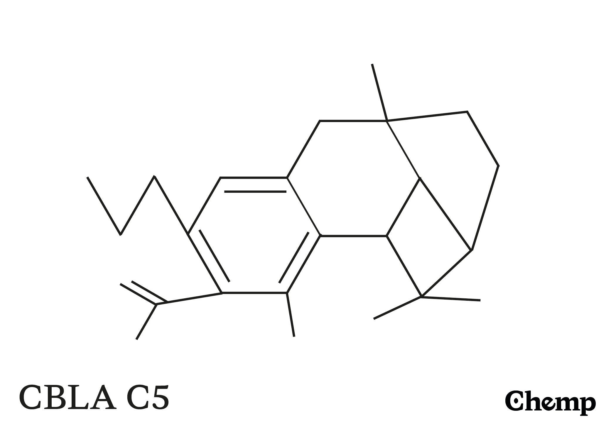 CBLA C5 Struktur