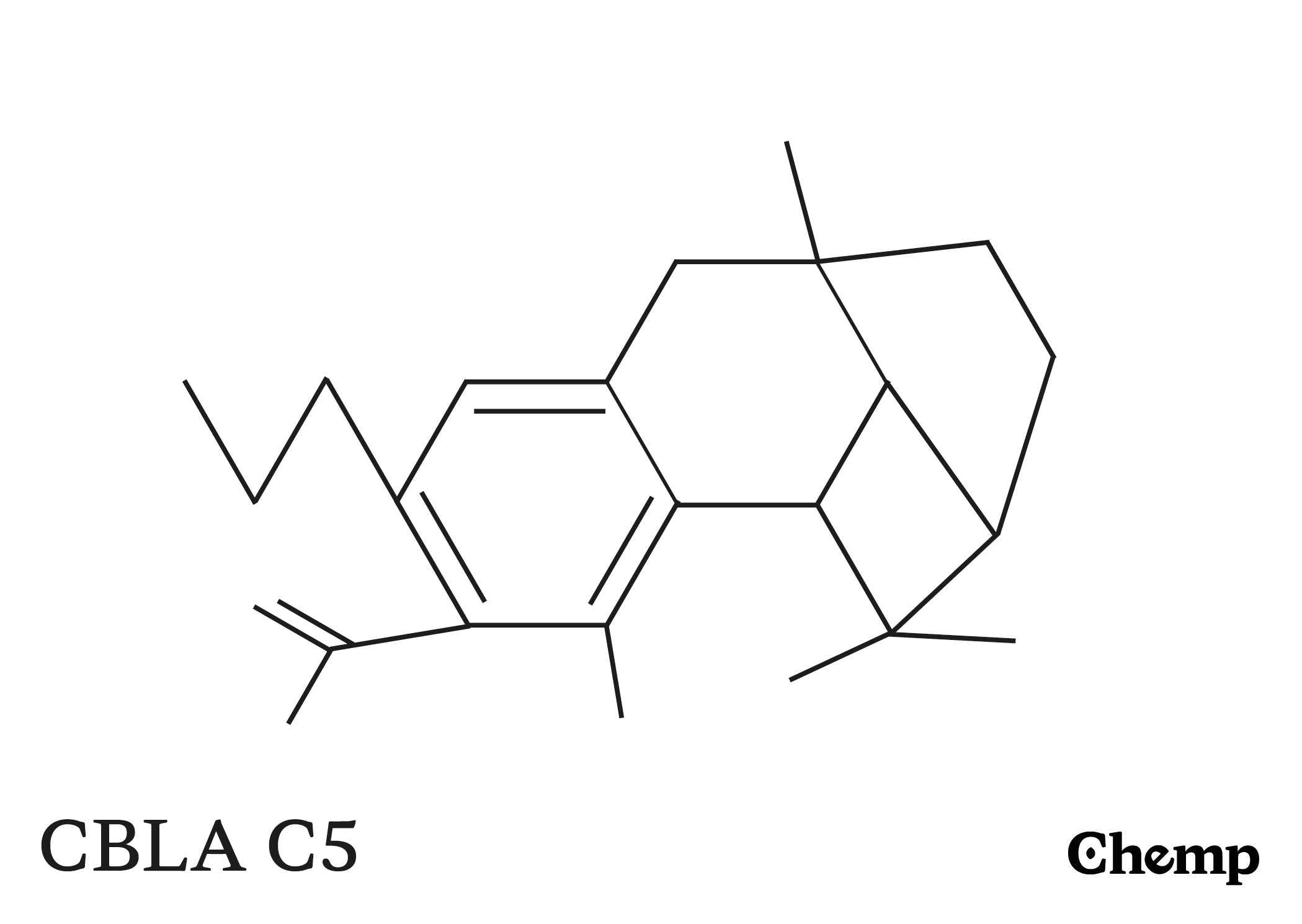 CBLA C5 Struktur