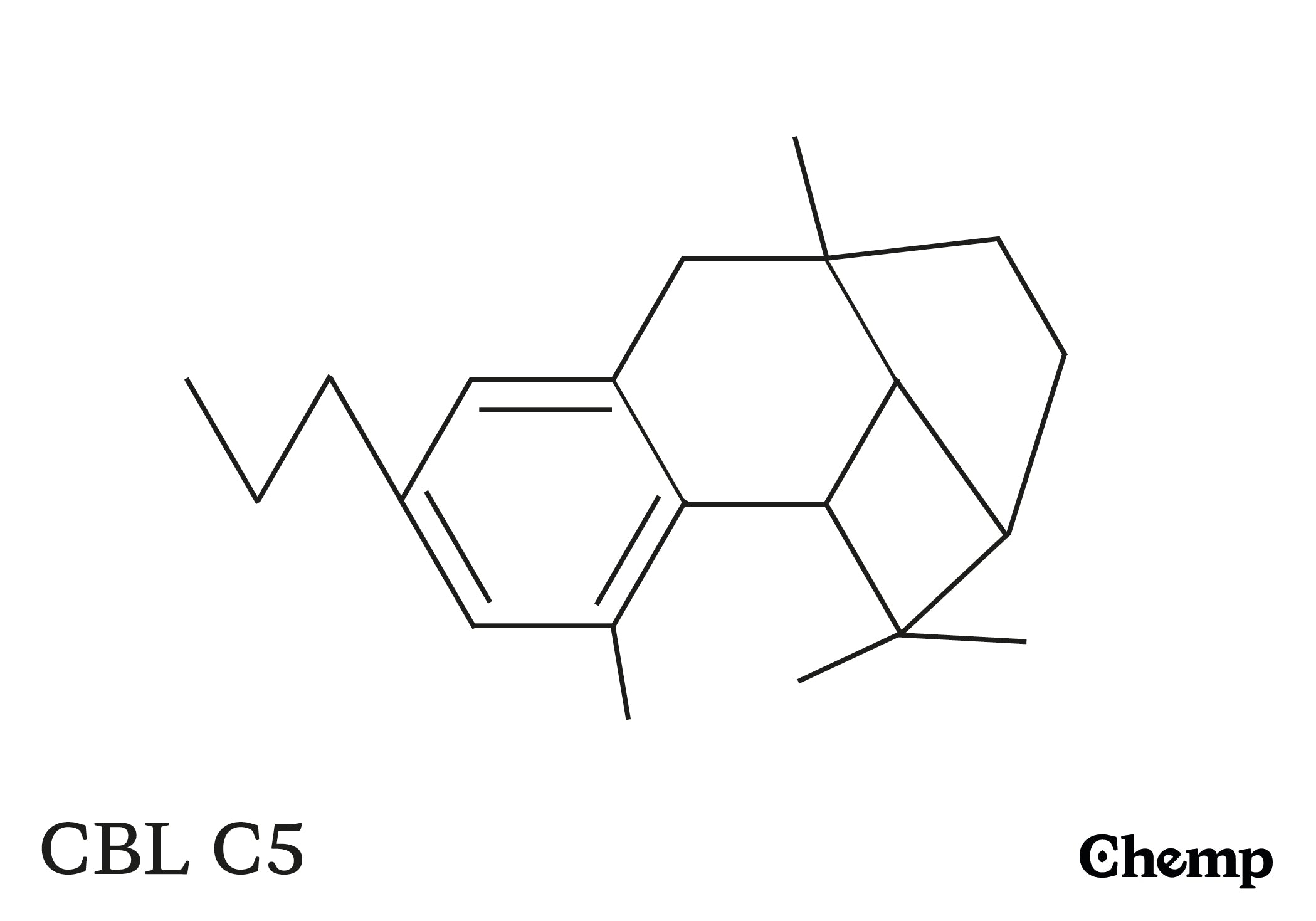 CBLV C3 Struktur