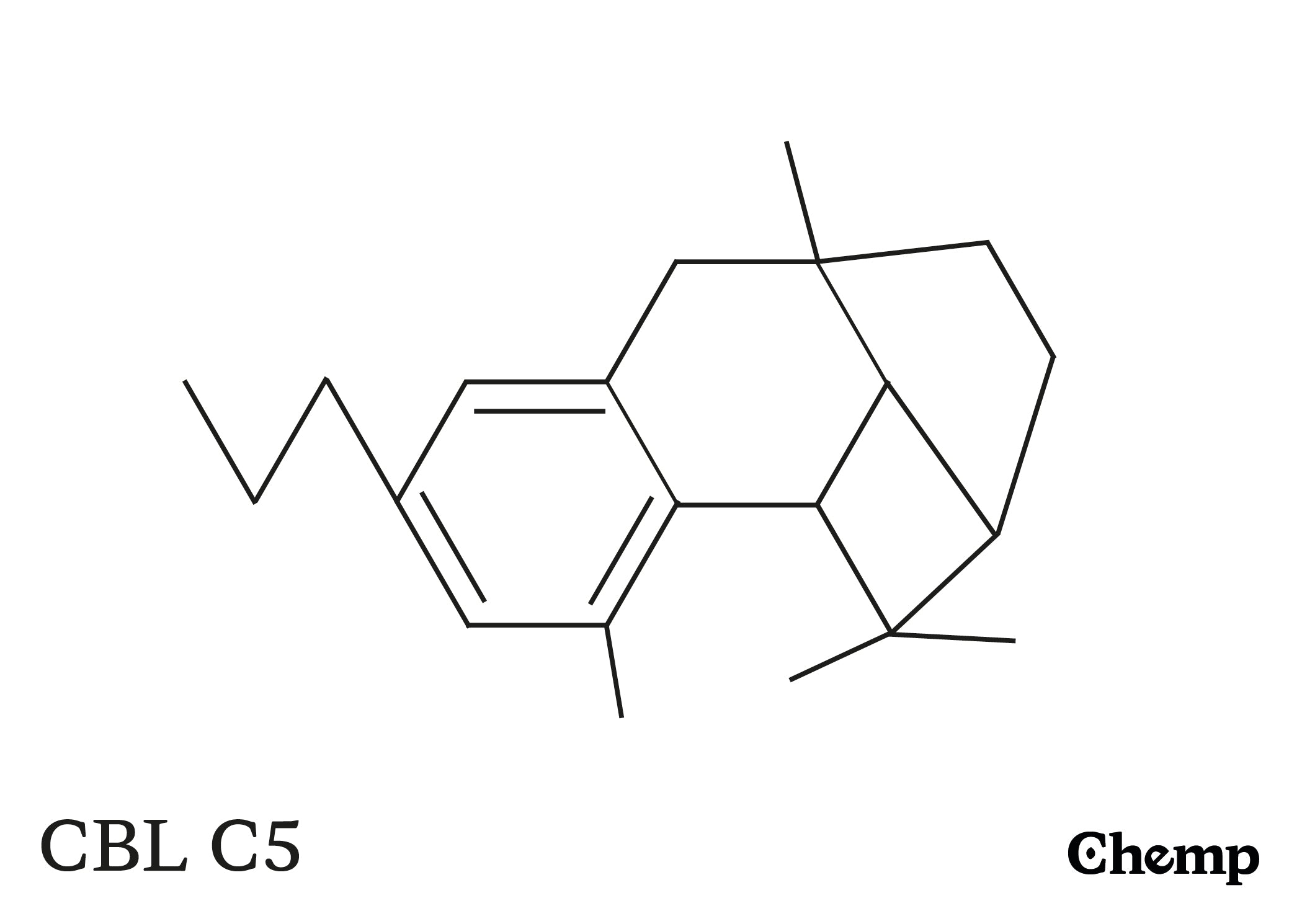 CBLV C3 Struktur