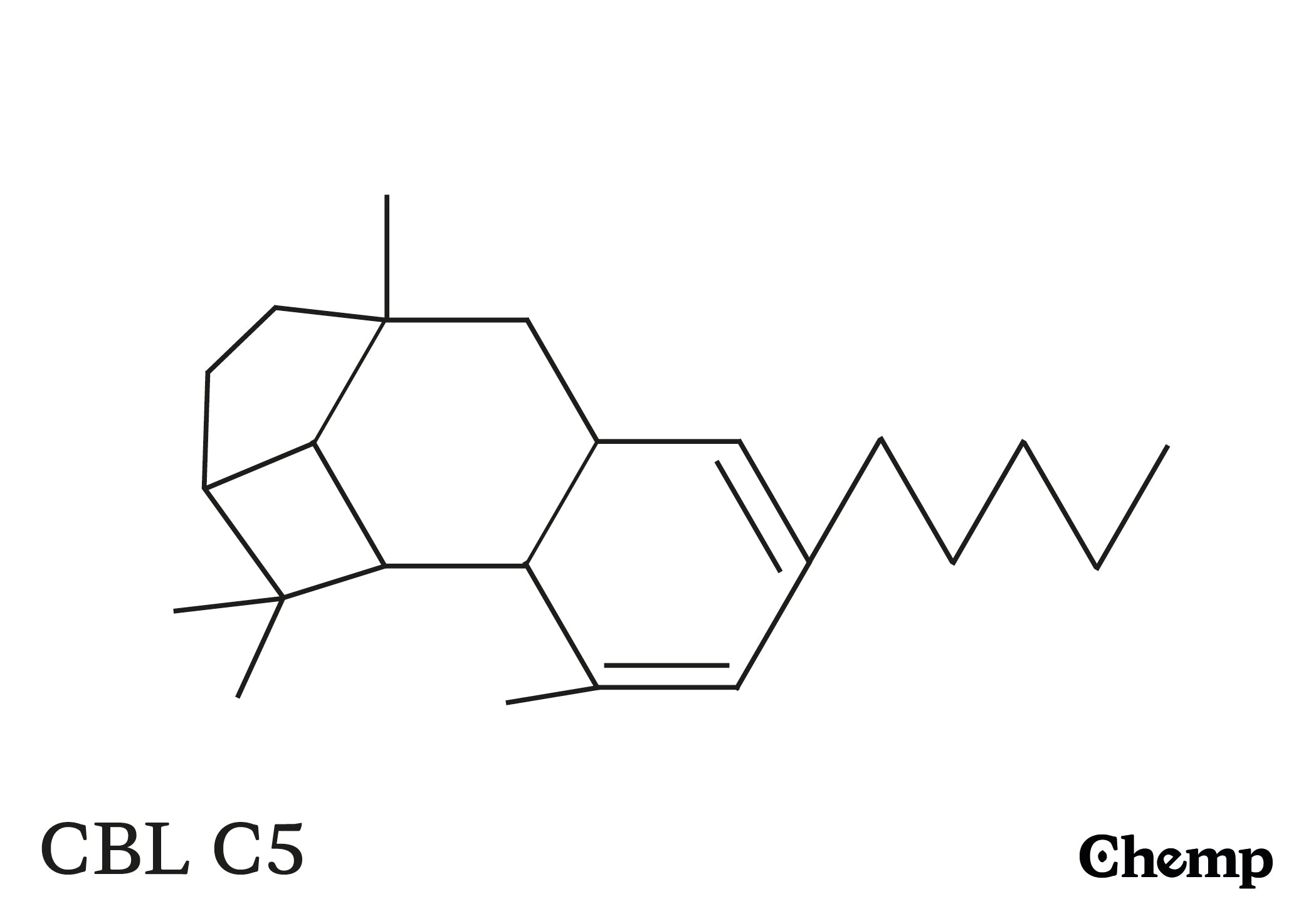 CBL C5 Struktur