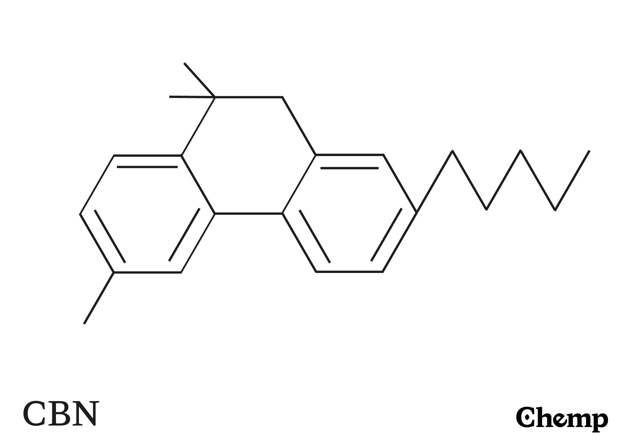 CBN Struktur