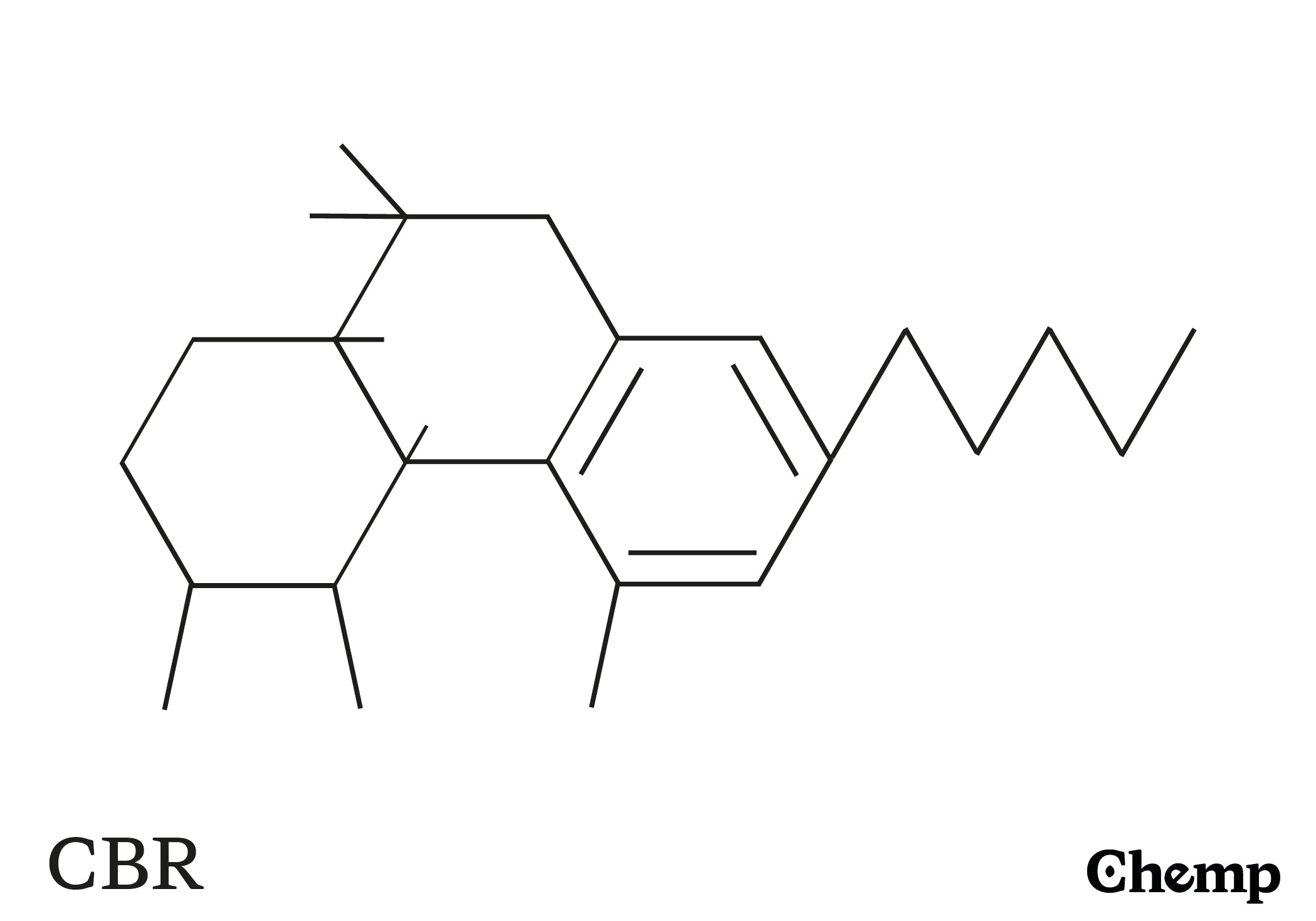 CBR Struktur