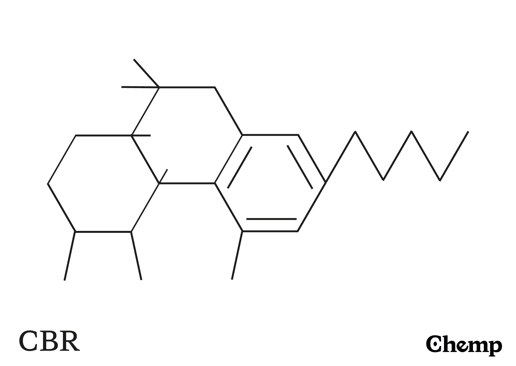 CBR Struktur