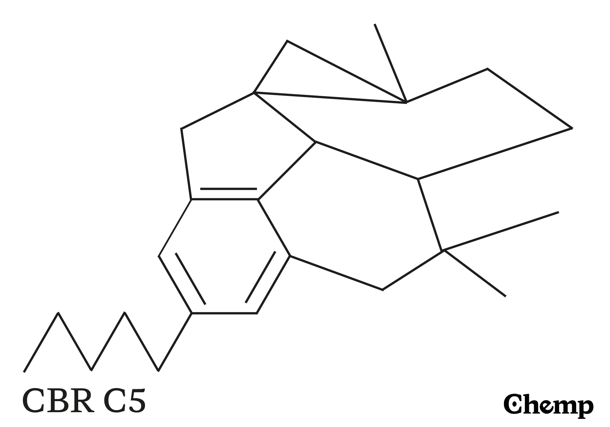 CBR C5 Struktur