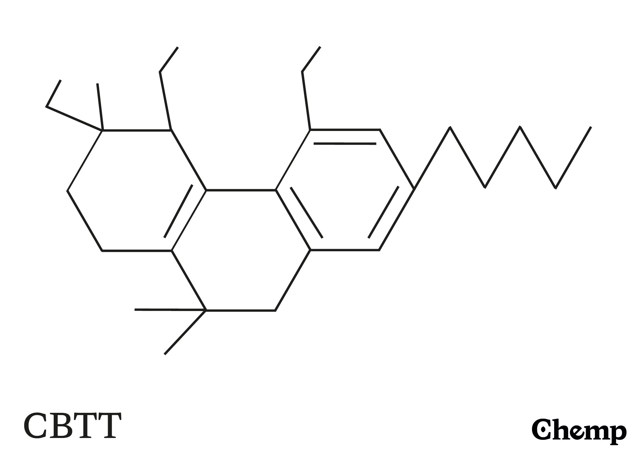 CBTT Struktur