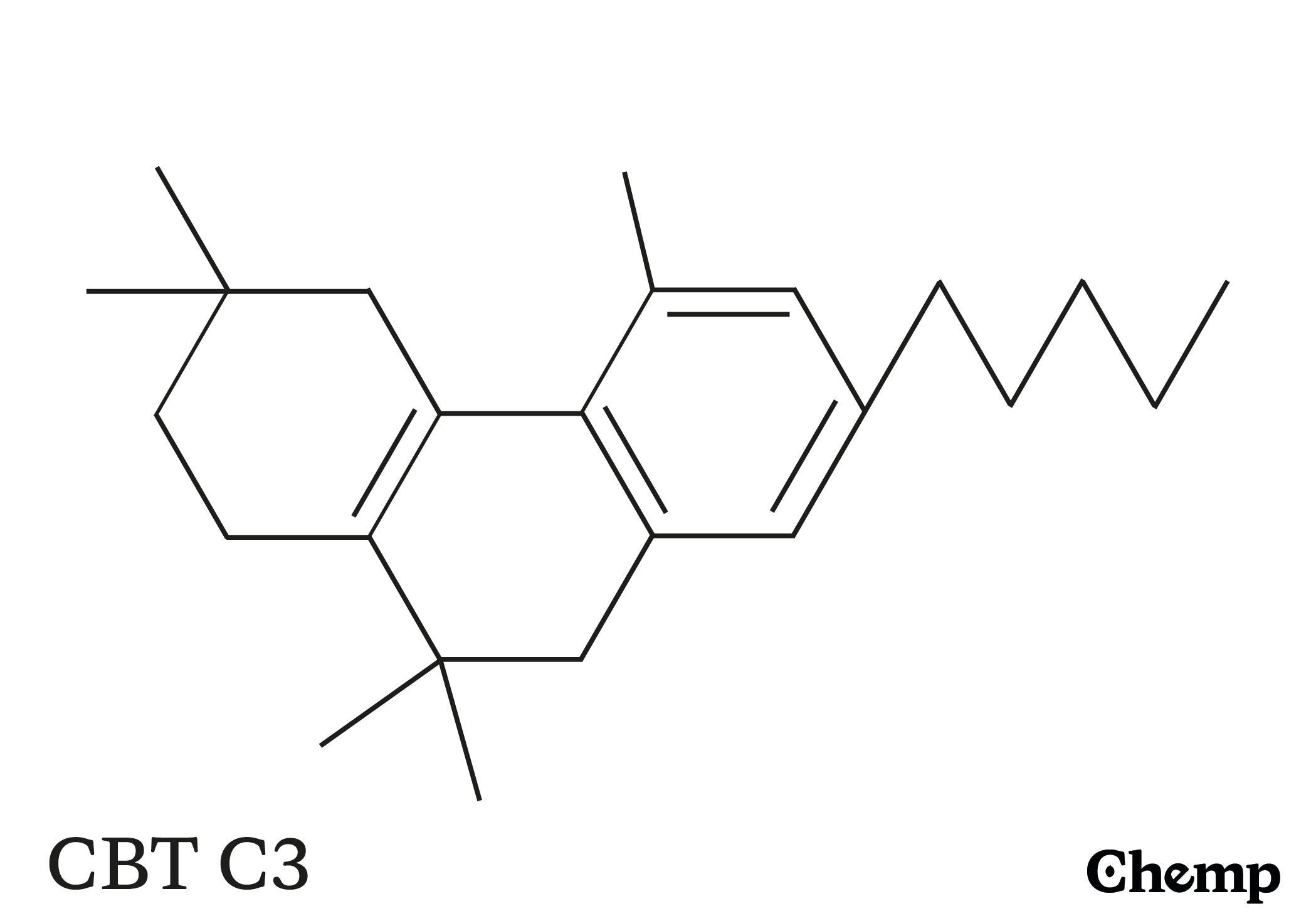 CBT C3 Struktur