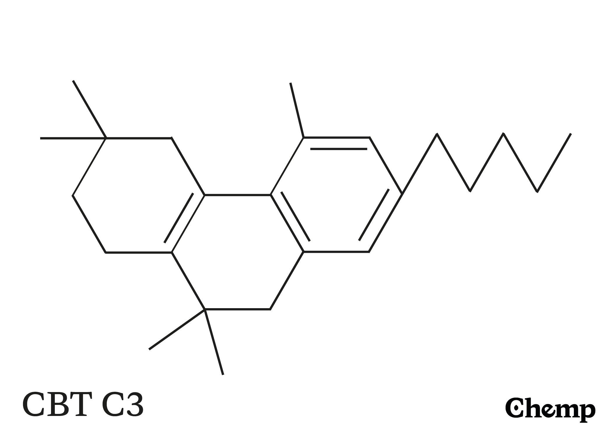 CBT C3 Struktur