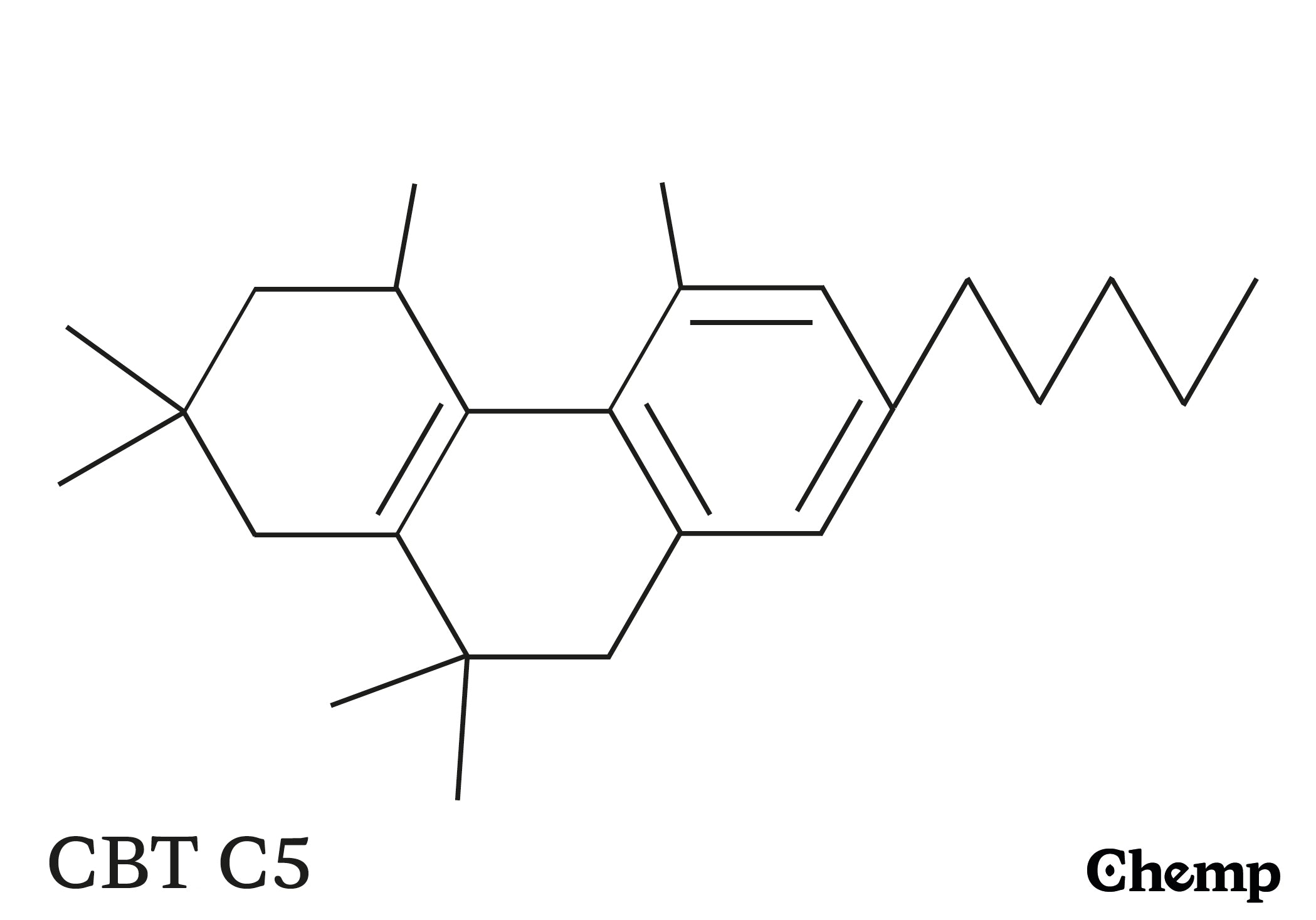 CBT C5 Struktur