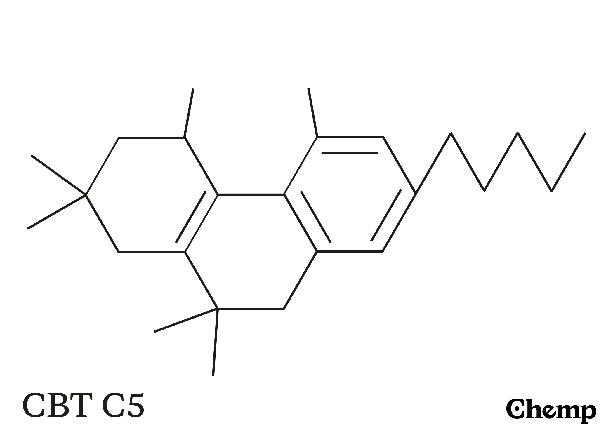 CBT C5 Struktur