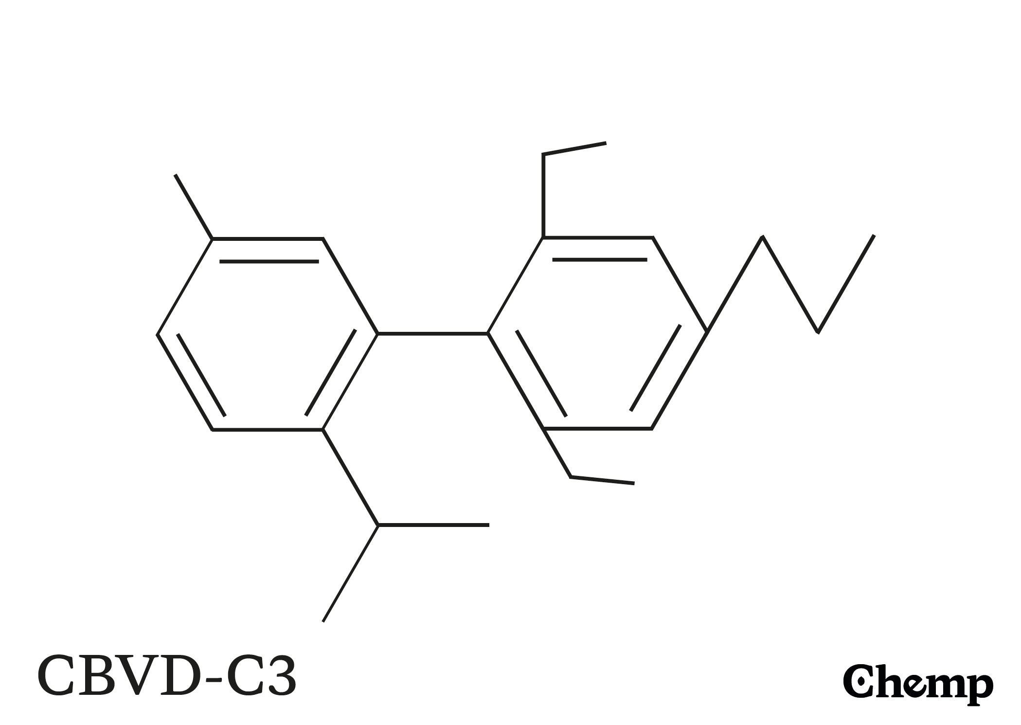 CBVD-C3 Struktur