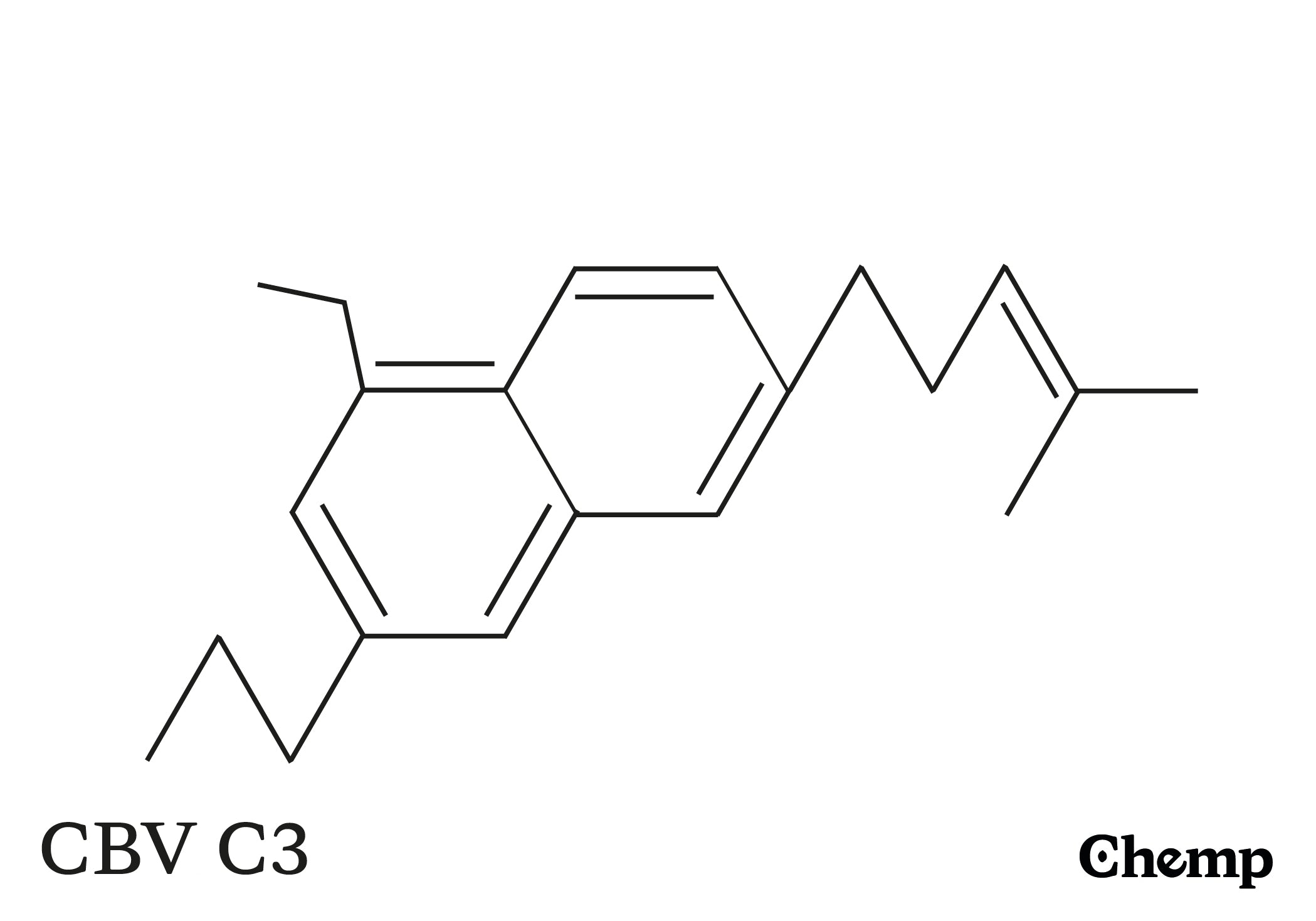 CBV C3 Struktur