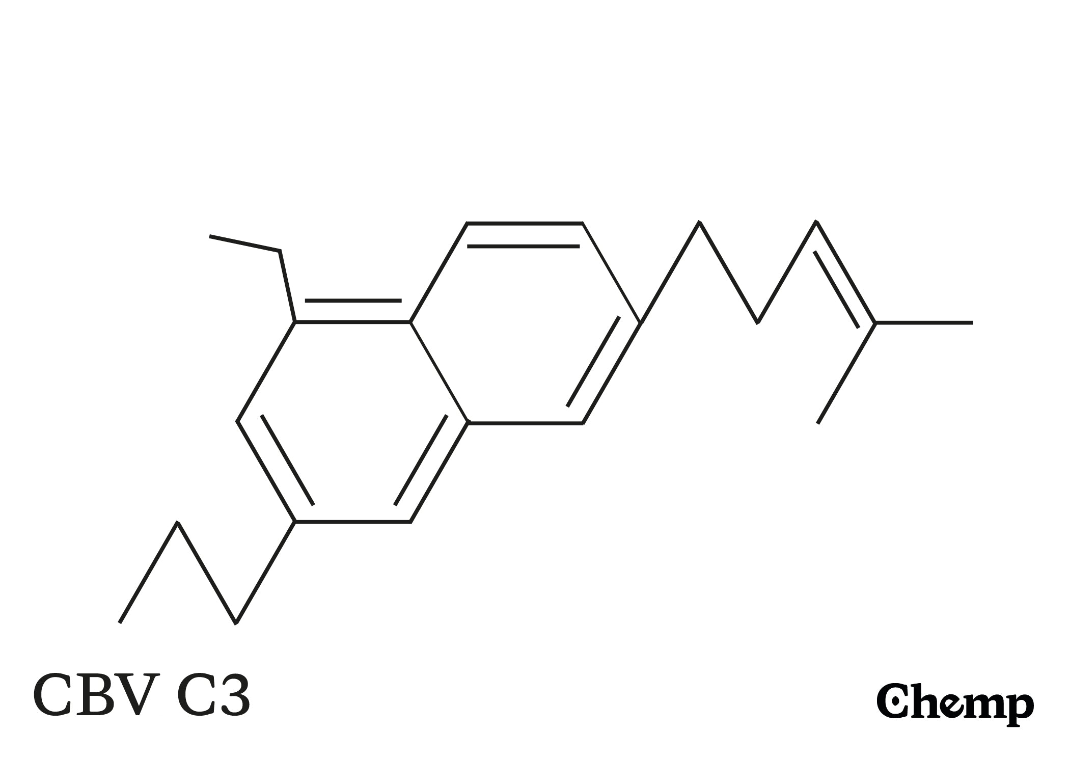 CBV C3 Struktur