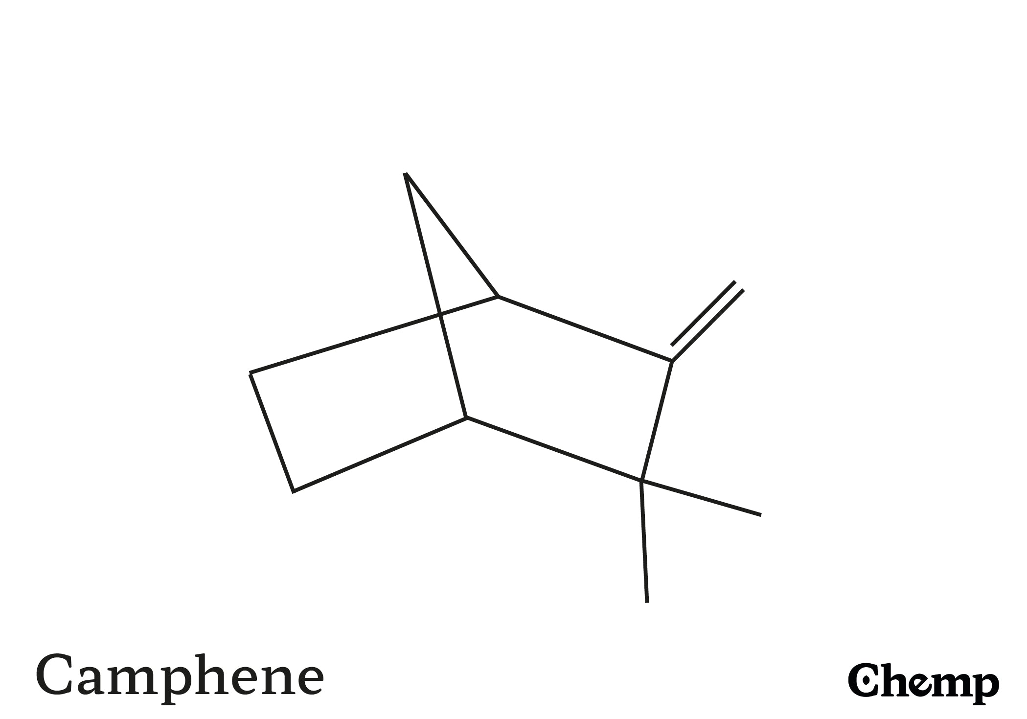 Camphene Struktur