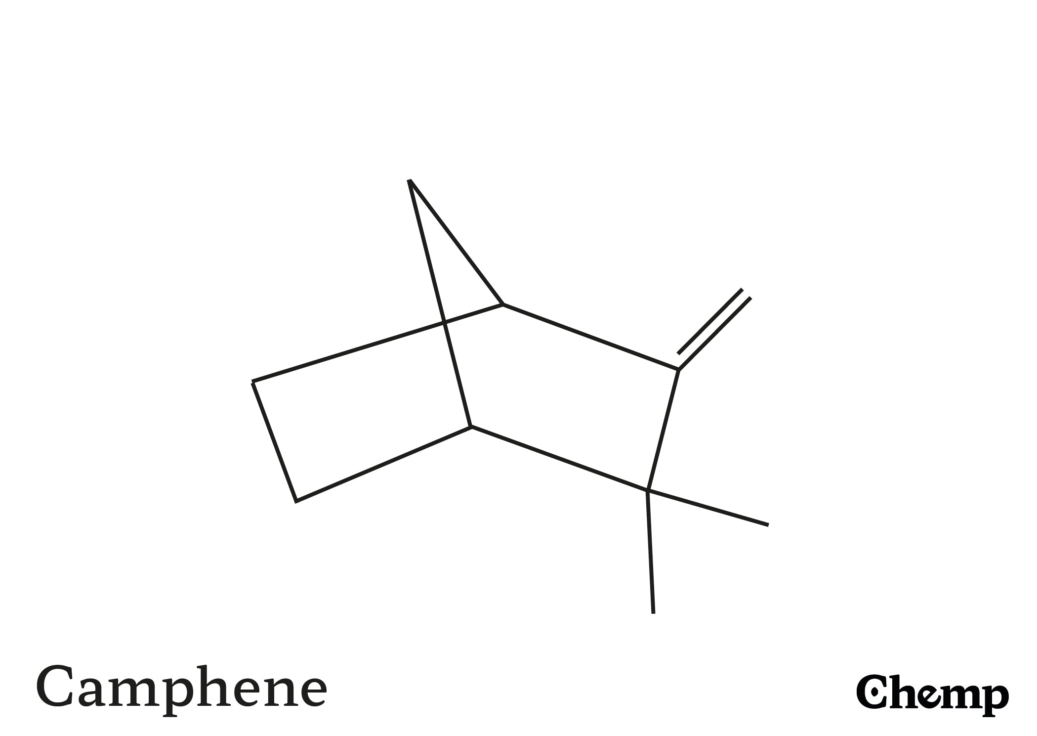 Camphene Struktur