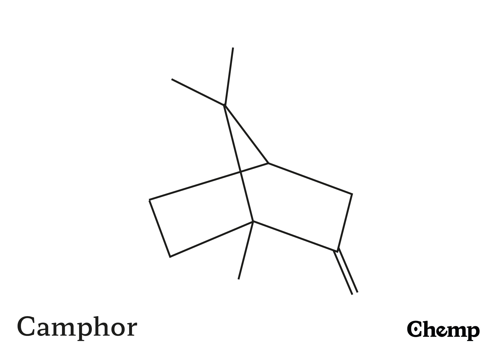 Camphor Struktur