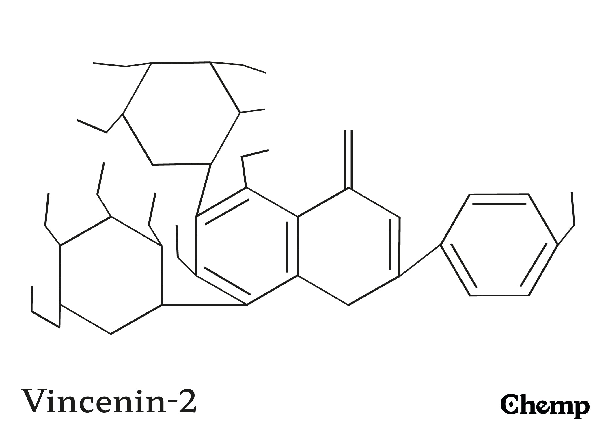 Vincenin-2 Struktur