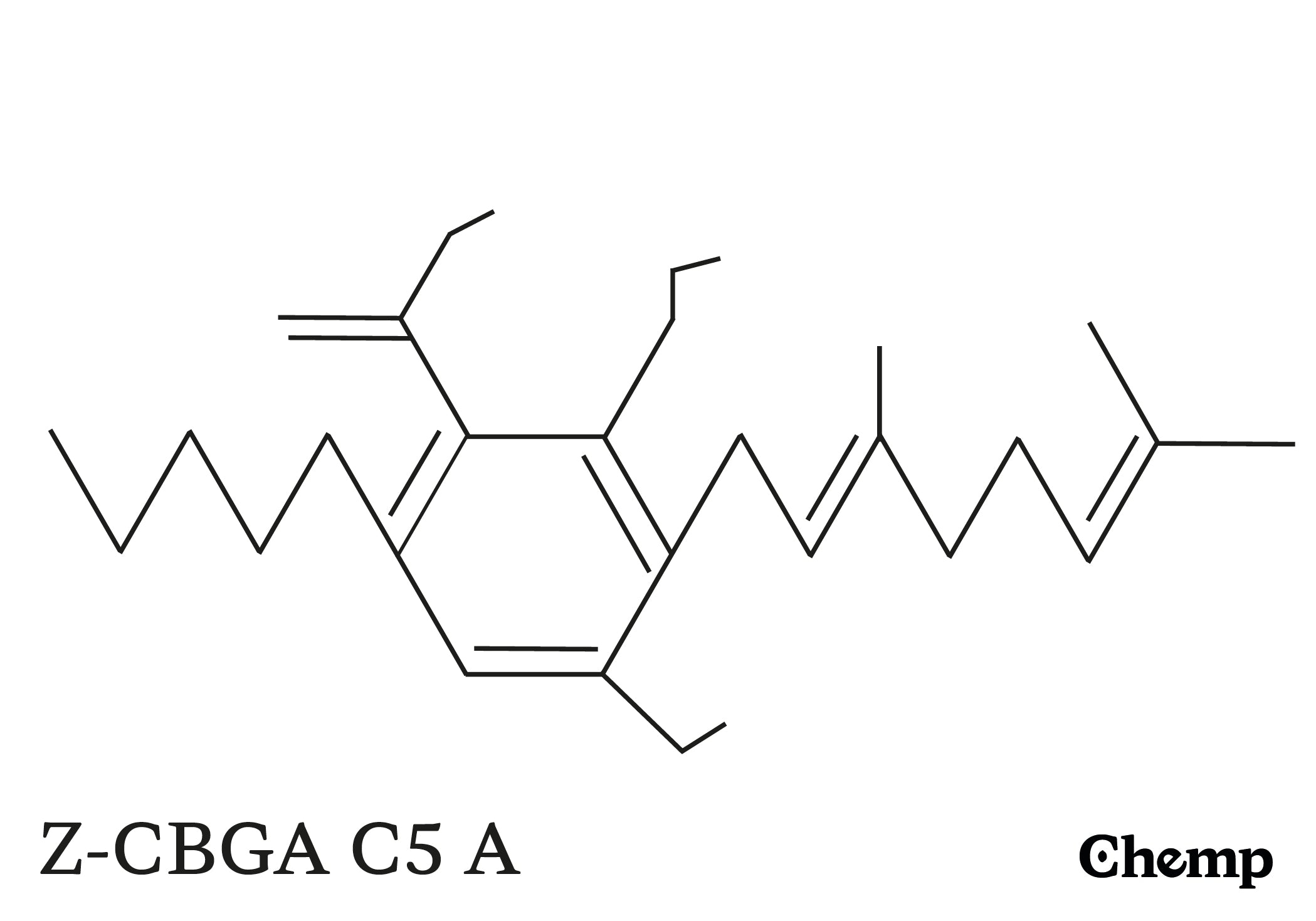 Z-CBGA C5 A Struktur