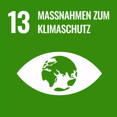 SDG, Massnahmen zum Klimaschutz, dunkel Gruen, weißes Auge mit Erde als Iris.