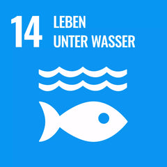 SDG, Leben unter Wasser, Hell Blau, weiße Welle mit Fisch Icon.