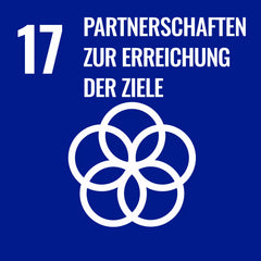 SDG, dunkel Blau, Partnerschaften zur Erreichung der Ziele, 5 weiße Kreise in Form einer Blume.