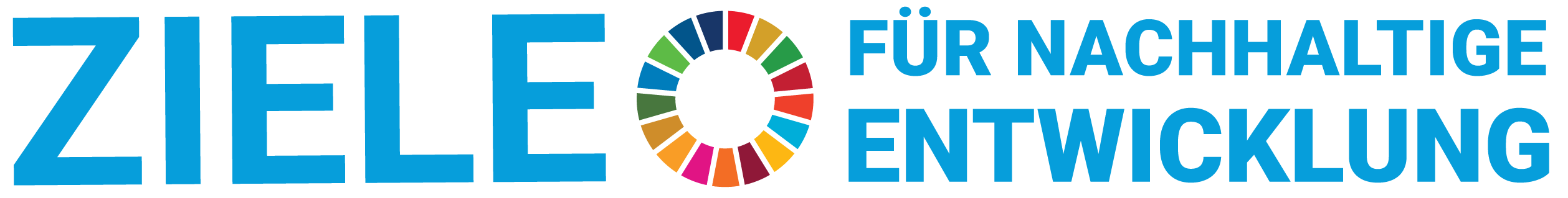 SDG_logo_DE_No_UN_Emblem_WEB_Transparent-01.png